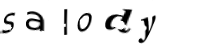 immagine CAPTCHA