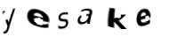 immagine CAPTCHA