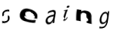 immagine CAPTCHA
