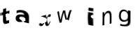 immagine CAPTCHA